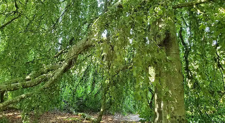 Holiday home in Øster Assels