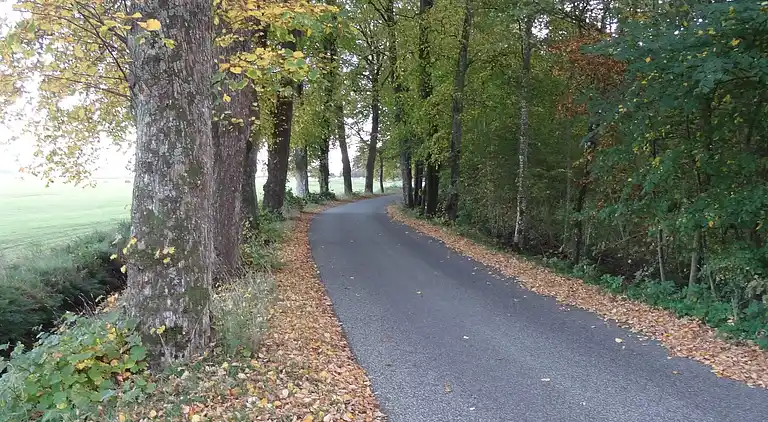 Holiday home in Øster Assels