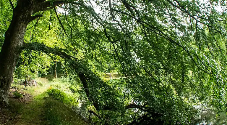 Holiday home in Øster Assels