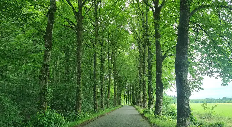 Holiday home in Øster Assels