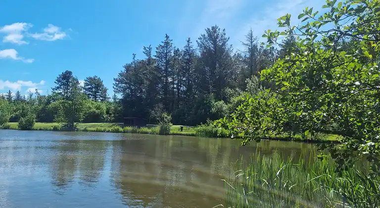 Holiday home in Nr Lyngby Strand