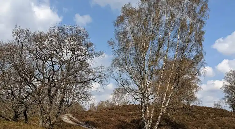 Holiday home in Gjern