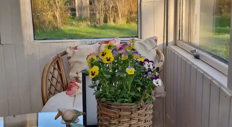  🌞 Attraktivt og lyst sommerhus i Hals