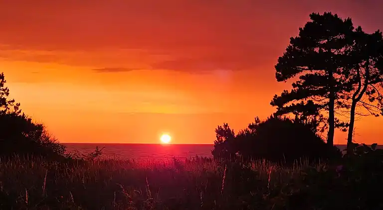 Idyllisk Kysthus: Komfort, hygge og afslapning