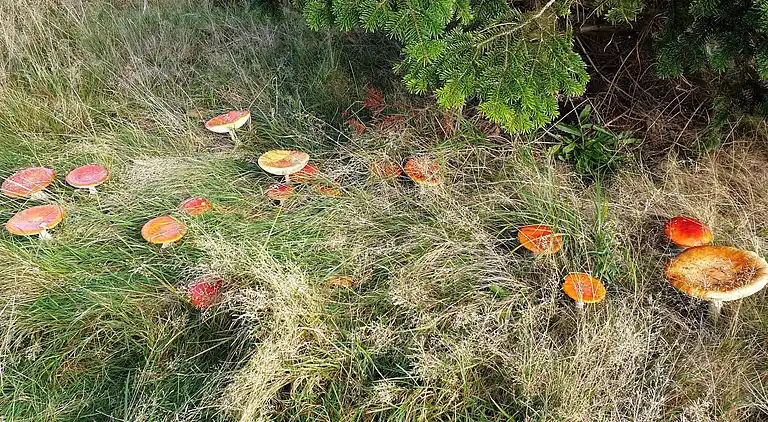 Casa vacanze in Væggerløse