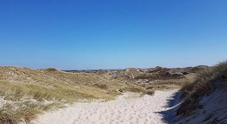 Sommerhus i Bork Havn