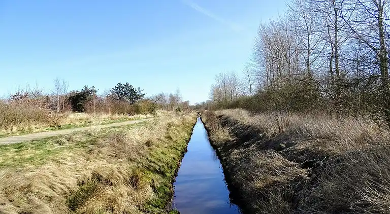 Sommerhus i Bork Havn