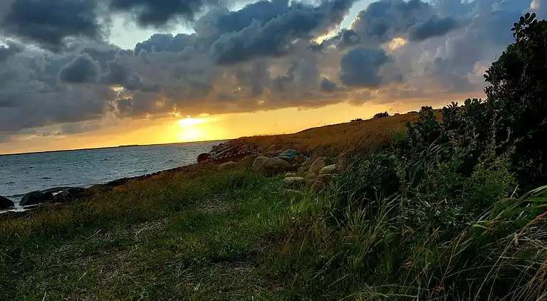 Sommerhus i Bork Havn