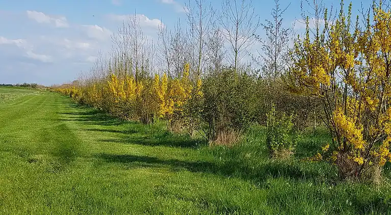 Holiday home in Nykøbing Mors