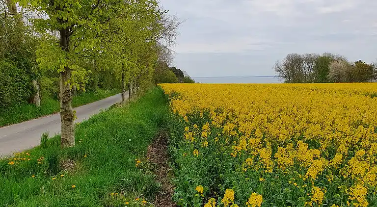 Holiday home in Nykøbing Mors