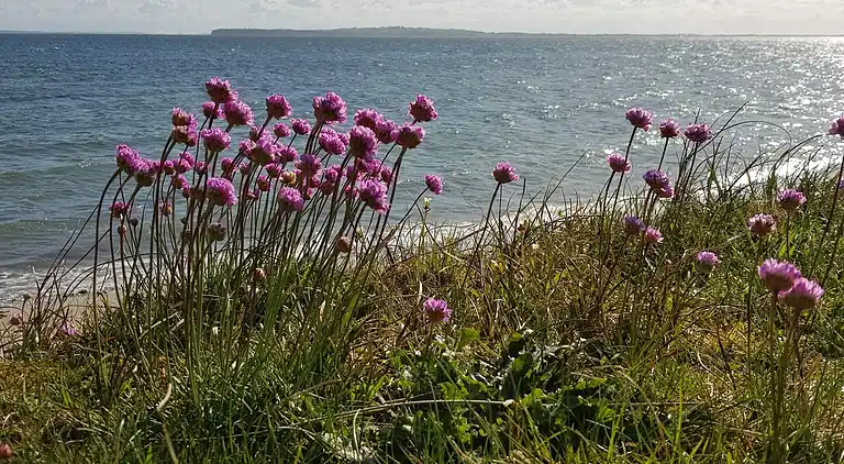 Holiday home in Nykøbing Mors
