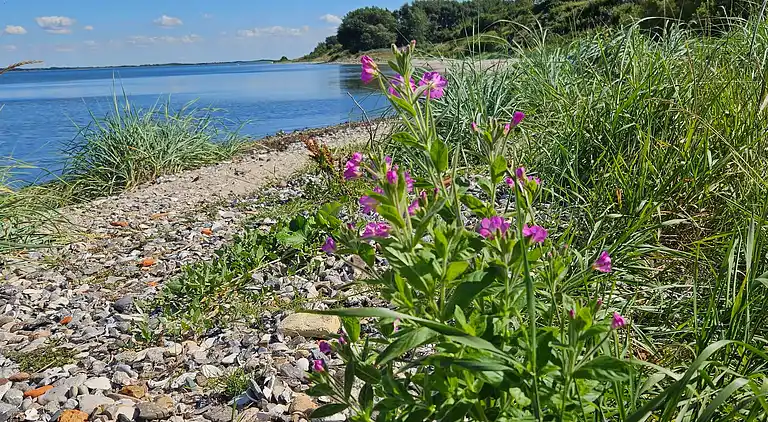 Holiday home in Nykøbing Mors