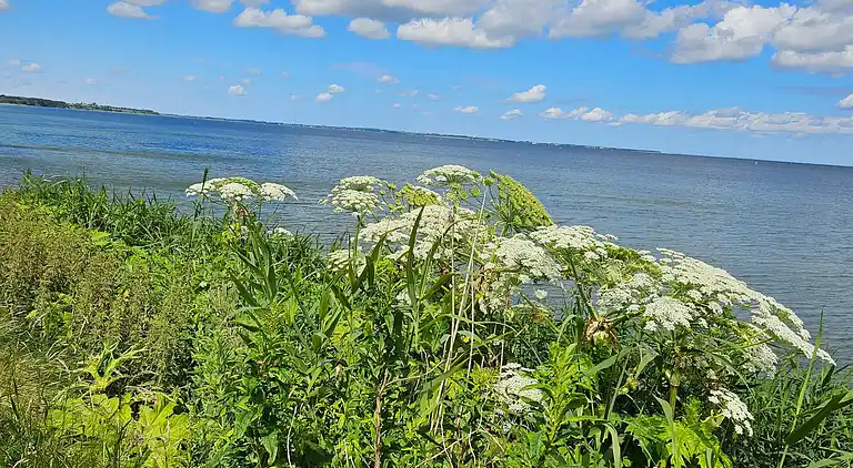 Holiday home in Nykøbing Mors