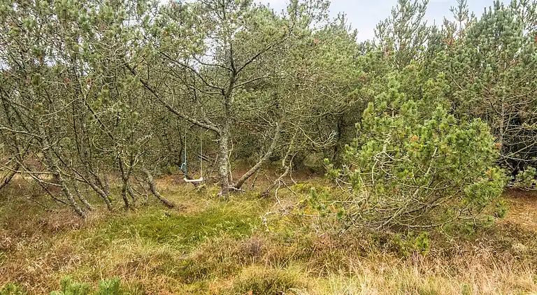 Holiday home in Blåvand