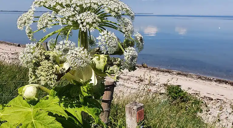 Holiday home in Nykøbing Mors