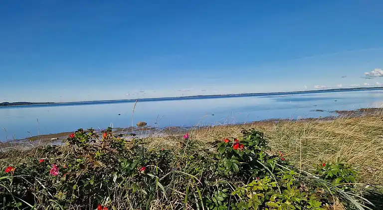 Casa vacanze in Højslev