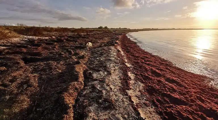 Holiday home in Rødby