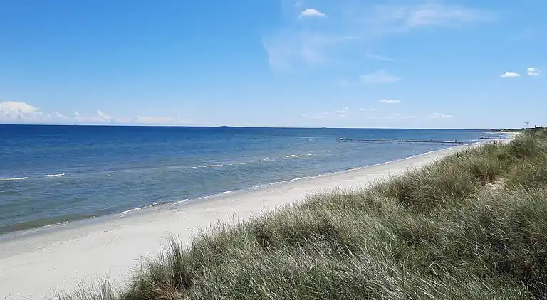 Ferienhaus in Ålbæk