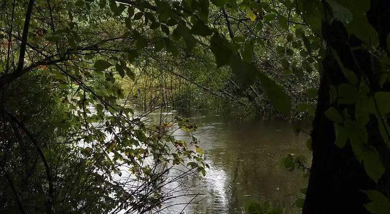 Ferienhaus in Ålbæk