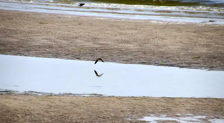 Holiday home in Øster Hurup