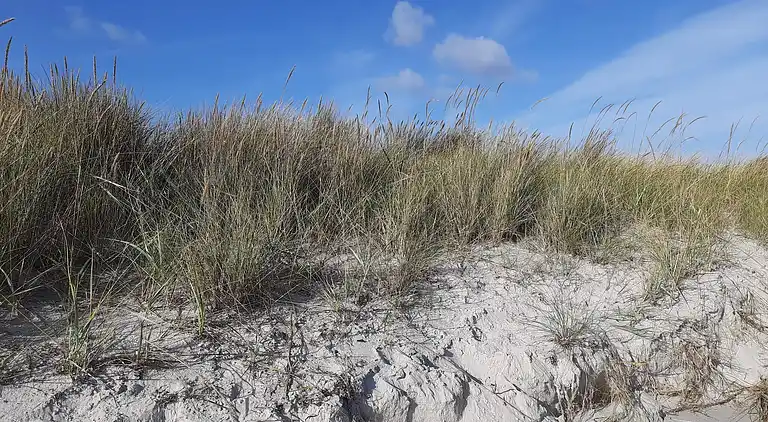 Holiday home in Øster Hurup