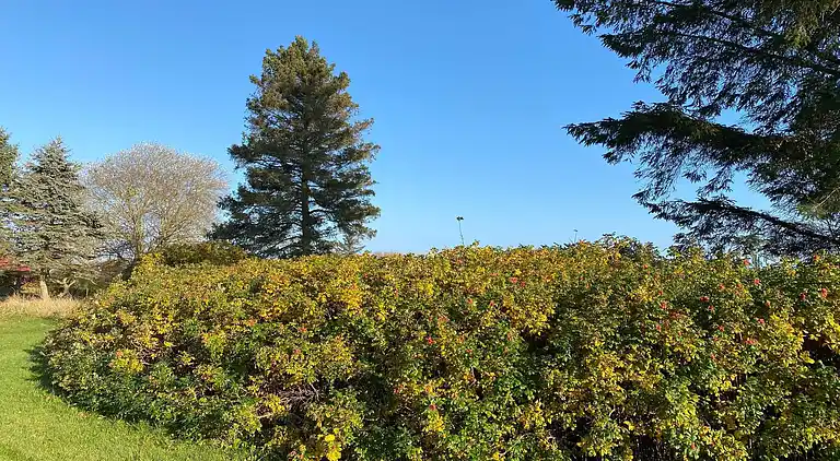 Holiday home in Øster Hurup