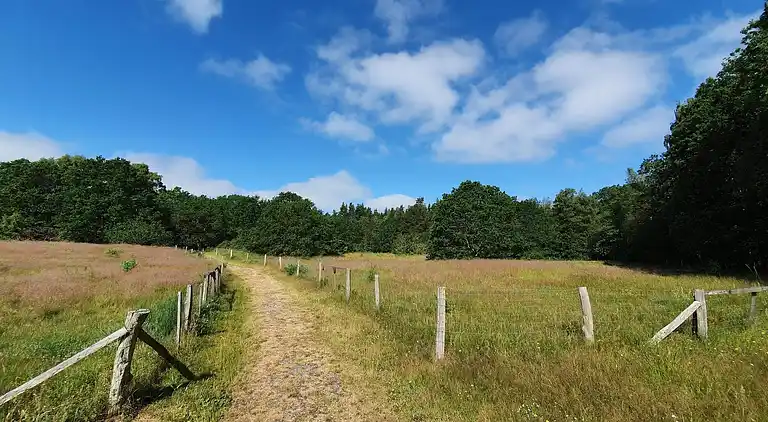 Holiday home in Ørsted