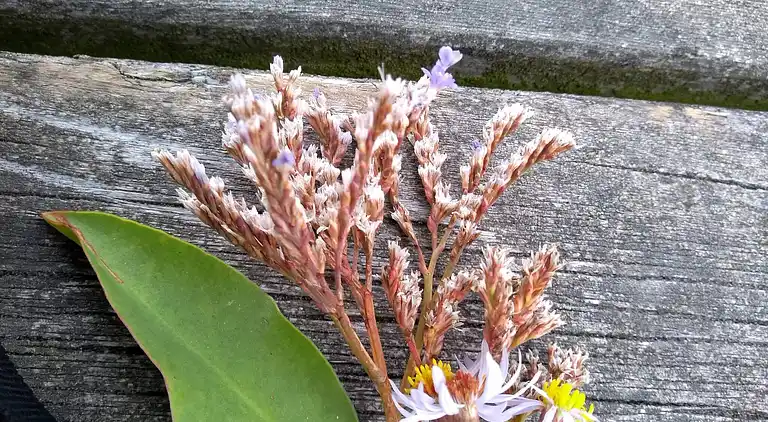 Holiday home in Helberskov Strand