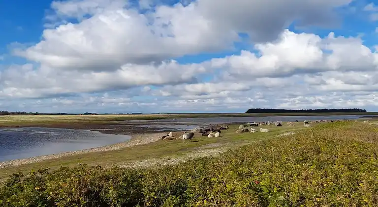 Holiday home in Roslev