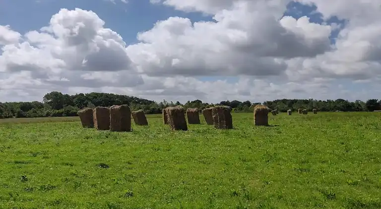 Holiday home in Roslev