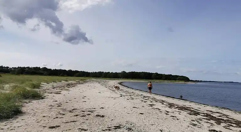 Holiday home in Roslev