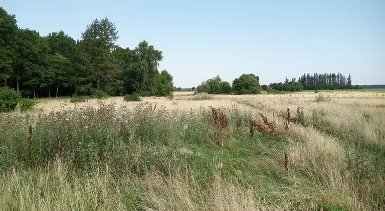 Feriebolig i Storvorde