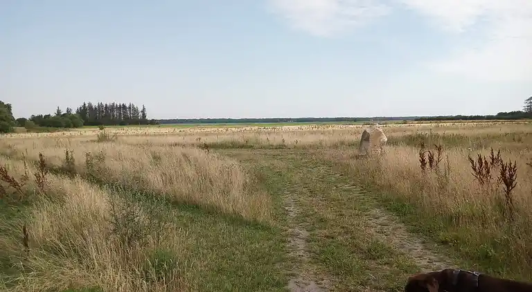 Feriebolig i Storvorde