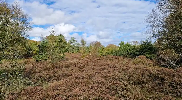 Sommerhus i Øster Hurup