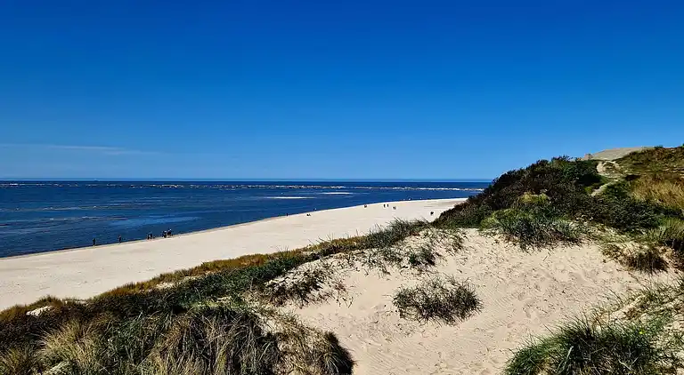 Sommerhus i Blåvand