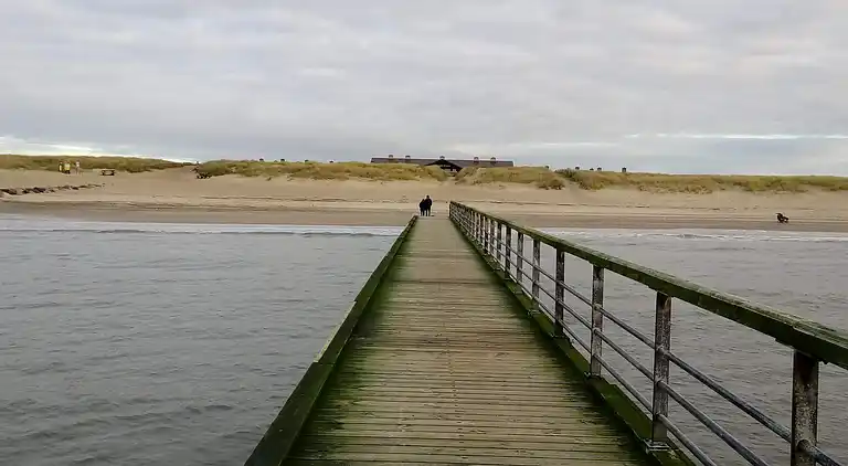 Sommerhus i Blåvand