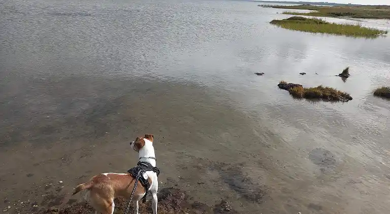 Holiday home in Ørsted