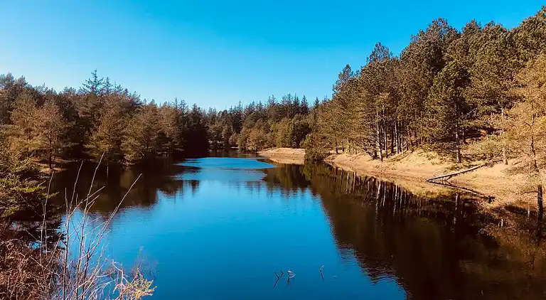 Holiday home in Hirtshals
