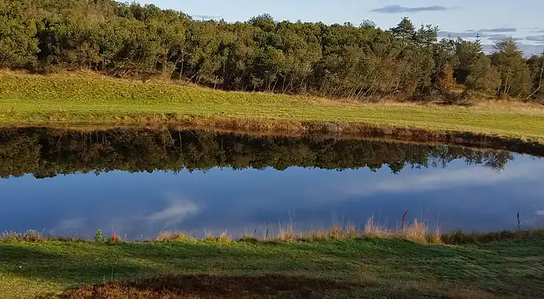 Holiday home in Thisted
