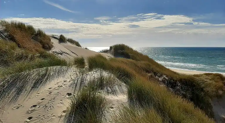 Holiday home in Hirtshals