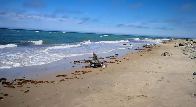 Holiday home in Hirtshals