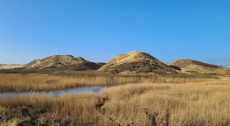 Holiday home in Hirtshals