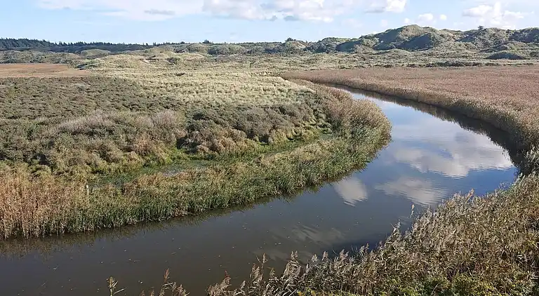 Holiday home in Hirtshals