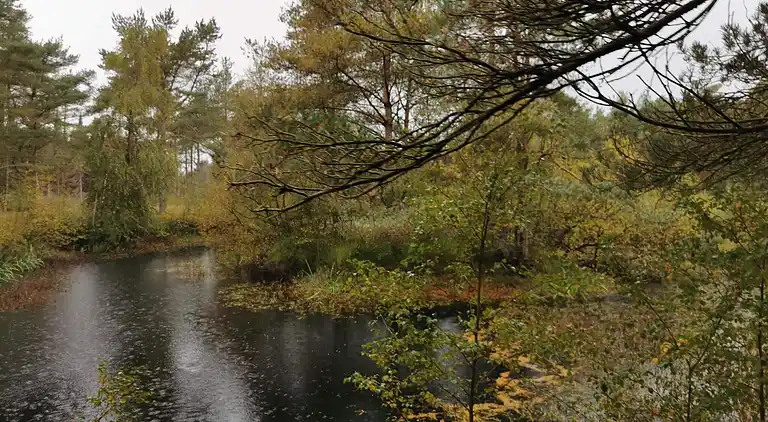 Holiday home in Hirtshals