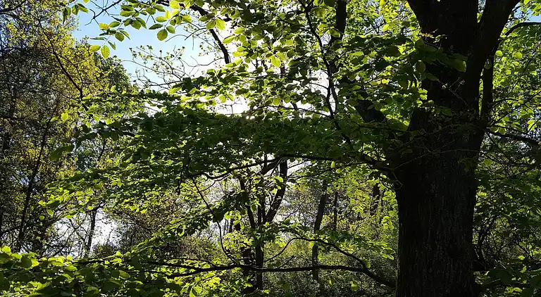 Sommerhus ved Egsmark Strand