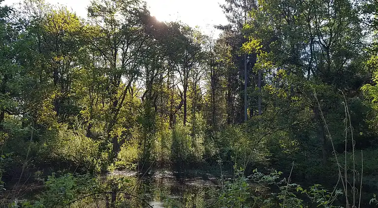 Sommerhus ved Egsmark Strand