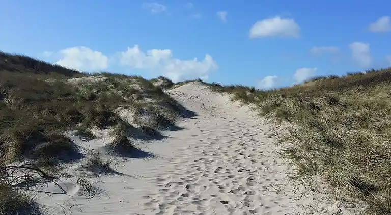 Holiday home in Ringkøbing