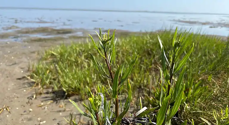 Holiday home in Ørsted