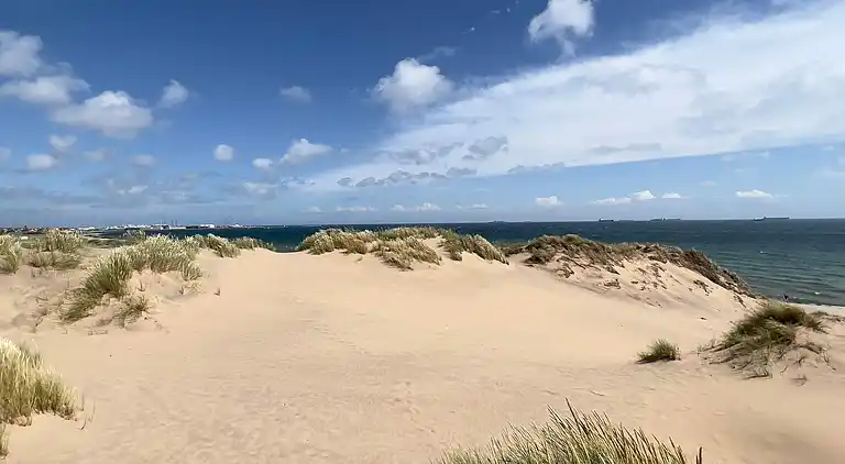 Sommerhus i Skagen