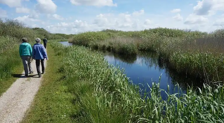 Sommerhus i Callantsoog